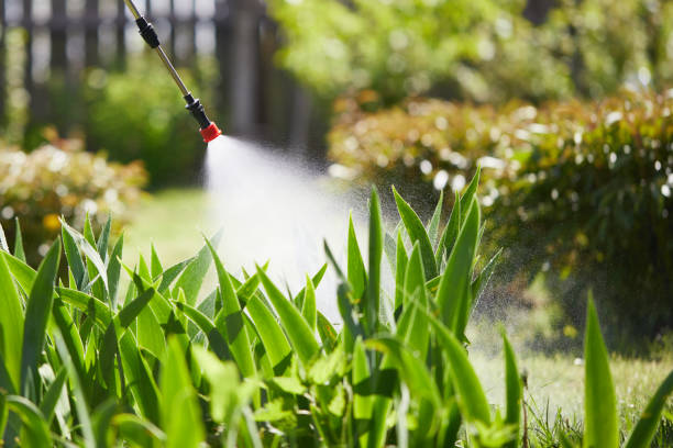 24/7 Emergency Ant Control experts in LaSalle, IL